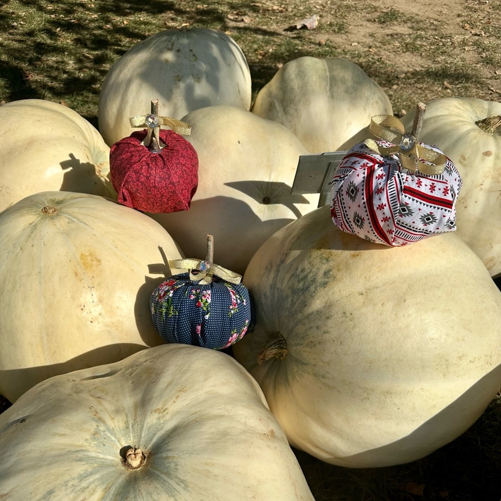 Pumpkin Decor - Picture 11 of 12